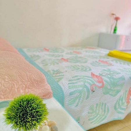 فندق Tropical Dreams فيلاهيرموسا المظهر الخارجي الصورة